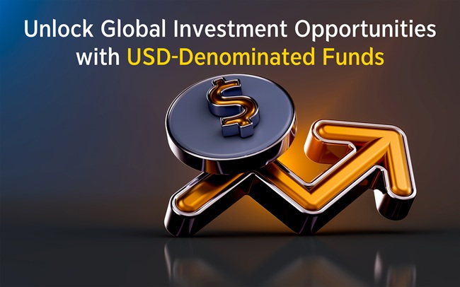 Unlock Global Investment Opportunities with USD-Denominated Funds